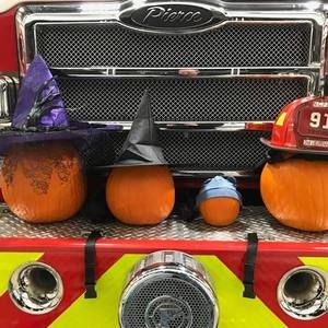 Meet your Posher, Paige